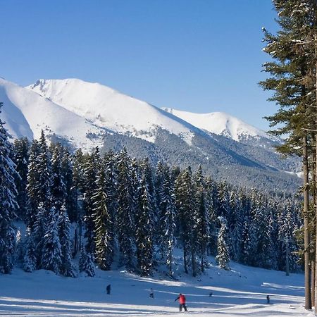 Skiing, Walking, Enjoying In Mountains บันสโก ภายนอก รูปภาพ