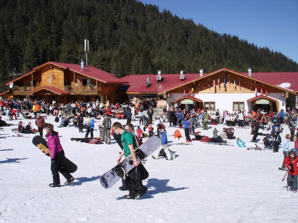 Skiing, Walking, Enjoying In Mountains บันสโก ภายนอก รูปภาพ