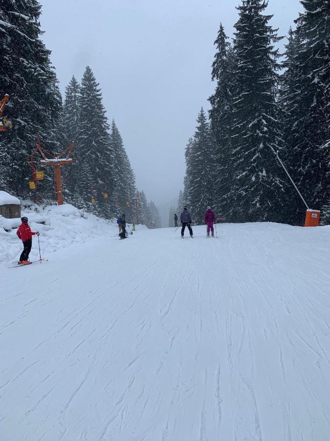Skiing, Walking, Enjoying In Mountains บันสโก ภายนอก รูปภาพ