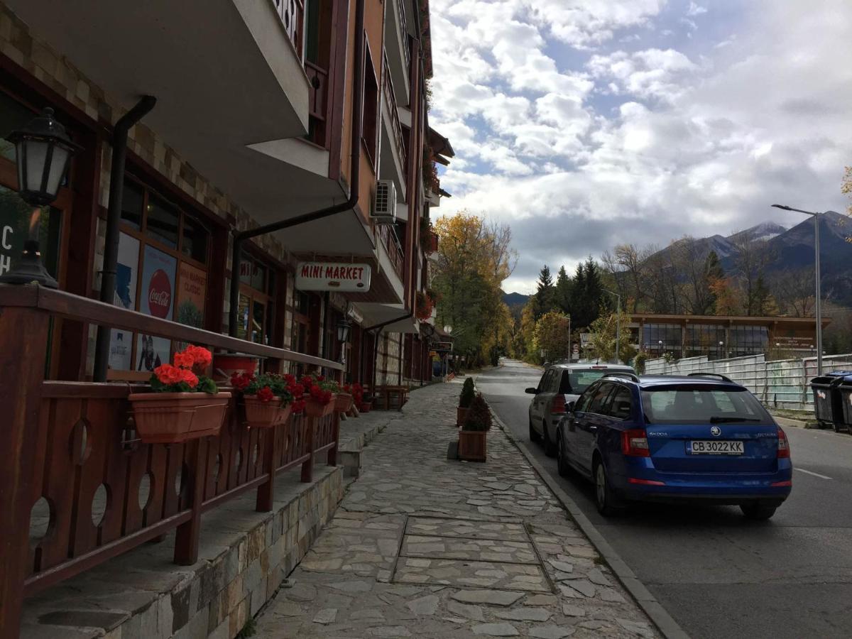 Skiing, Walking, Enjoying In Mountains บันสโก ภายนอก รูปภาพ
